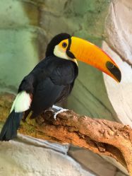 -Zoolung Zoolung动物主题公园(海信广场店)