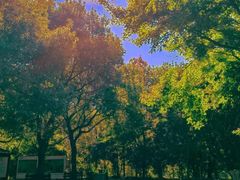 -昆山城市生态森林公园