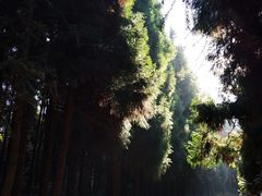 -山王坪喀斯特国家生态公园