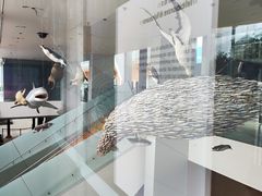 -墨尔本博物馆(Melbourne Museum)