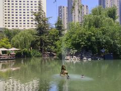 -西苑公园
