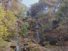 -铁山坪森林公园