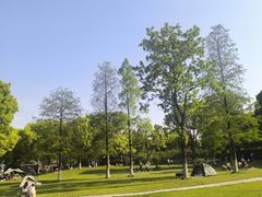-新洲生态园