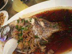 -五谷芳乳鸽王（大梅沙总店C区）(网红打卡店)