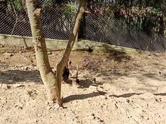 -泉州海丝野生动物世界