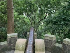 -北山公园