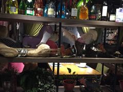 -别院里音乐餐酒吧(双流航空港店)