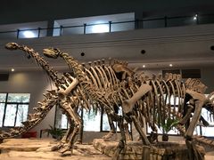 -自贡恐龙博物馆