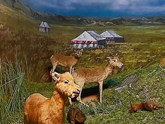 -吉林省自然博物馆