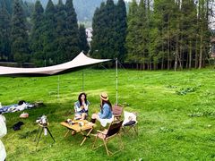 -武陵山森林公园