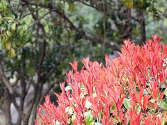-江南大学(蠡湖校区)