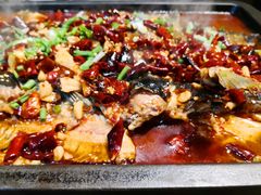 香辣鲶鱼-晓鲜熊猫烤鱼烤吧(西三旗百汇北门店)