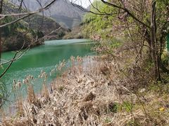 -青龙山生态文化旅游区(慈云寺)