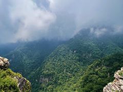 -牛背梁国家森林公园