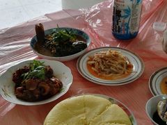 -南汇老顾农家乐采摘大团水蜜桃采摘店