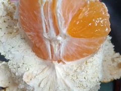 -前小桔亲子创意农场·草莓采摘·露营烧烤