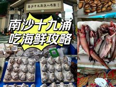 -大湾区中央湿地公园-十九涌