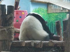 -青藏高原野生动物园