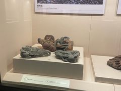 -晋江博物馆