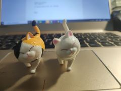 -猫和宫(六道口店)