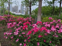 -北京长安天街