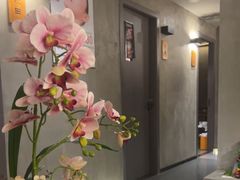 -施奈儿.洗头頭療.按摩SPA.采耳(上梅林店)