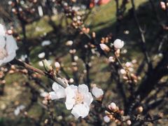 景点-白塘生态植物园