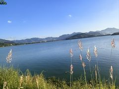 -四明湖