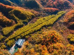 -光雾山旅游景区