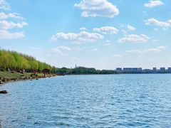 -丁香湖公园