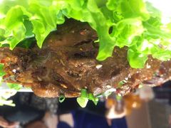 iphone_upload_pic-北京老铺烤鸭(欣大购物广场店)