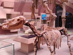 -陕西自然博物馆