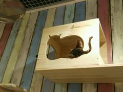 -小时光咖啡馆(开森度假森林店)