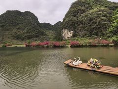 -靖西鹅泉风景区