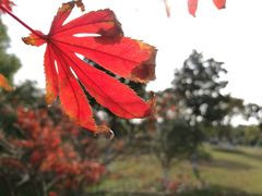 -苏州国际教育园