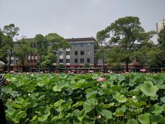 -四川大学(望江校区)