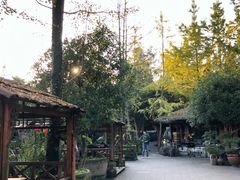 -青城甲(青城山店)