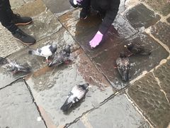 -圣母百花圣殿