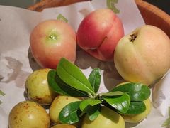 -季季山·云南野生菌火锅(上海首店)