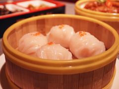 -采蝶轩