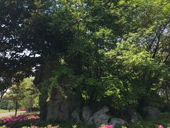 -春兰国宾馆(凤城河风景区老街店)