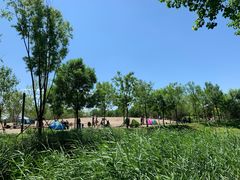 -东郊湿地公园