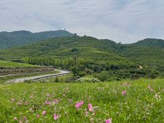 -冶父山国家森林公园