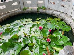 -青州市云门山风景区