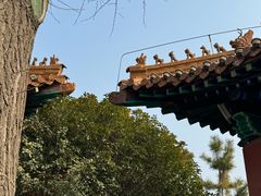 -戏马台景区