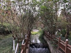 -桤木河湿地公园