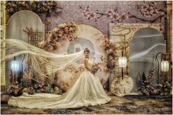 -艾米丽婚纱礼服