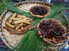 -昆虫窝子·特色云南菜(拓东路总店)
