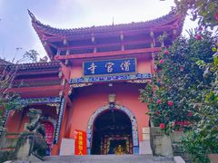 -铁山坪森林公园