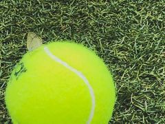 -快网网球俱乐部(长宁区金桥花园球场)